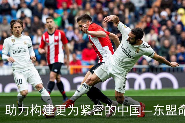 助力构建更为紧密的中国—东盟命运共同体