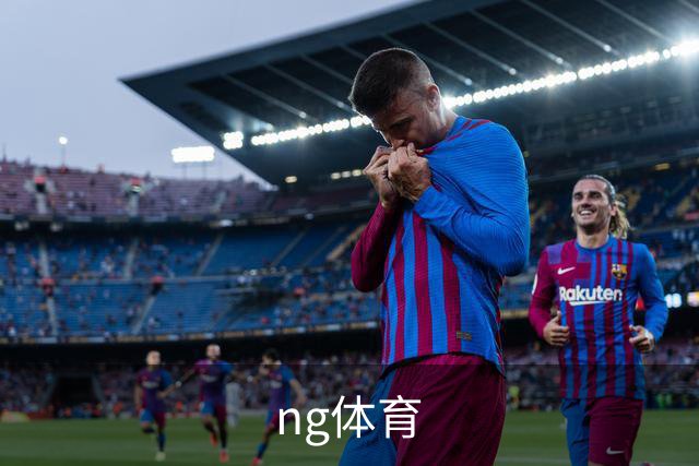 ng体育公司简介图片
